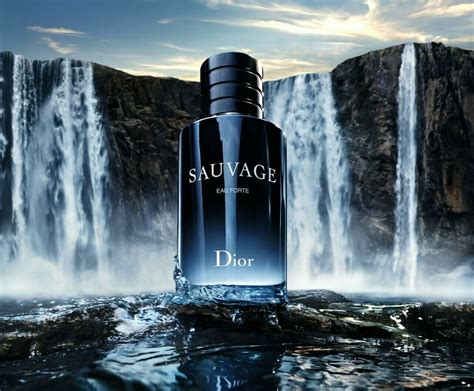 sauvage dior formati|sauvage eau forte cologne.